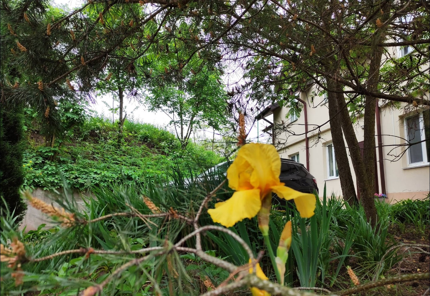 Вхід до пансіонату Ікіґай