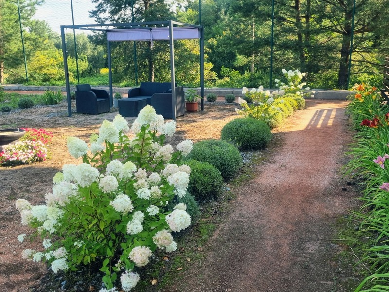 Озеленена територія будинку престарілих в с. Жуківці, Обухівський район